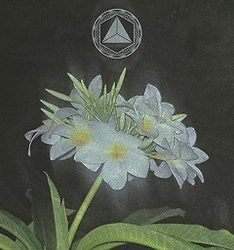 fade into materia art.png