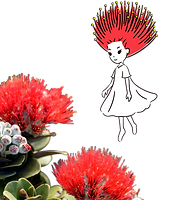 TOP | alohaflowers