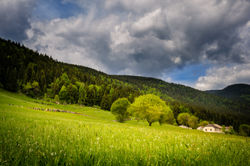 rogazione case carlini