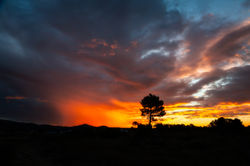 last sunset in Paarl