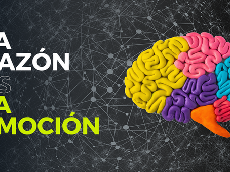 La Estrategia de la Razón VS La Emoción