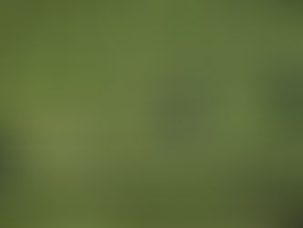 Hochbegabung erkennen: Wenn du spürst, dass dein Kind anders denkt