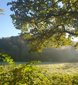 Ein Spaziergang in der Natur