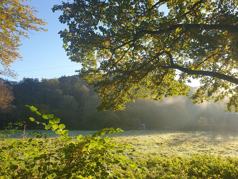 Ein Spaziergang in der Natur