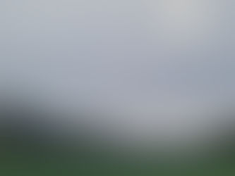 Asynchrone Entwicklung bei hochbegabten Kindern