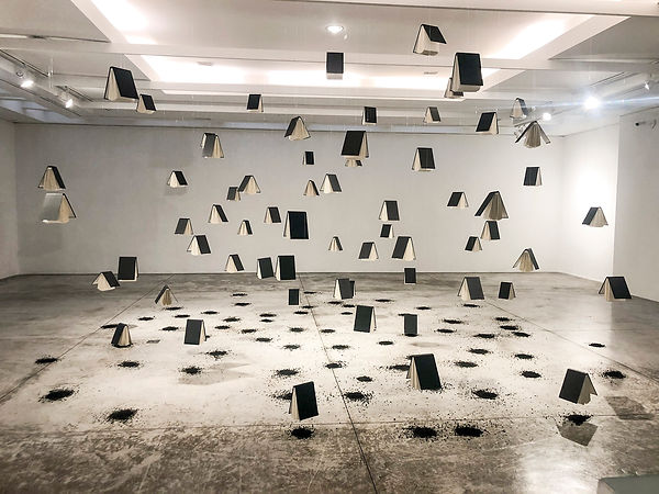 Aixa Portero_Las raíces al vuelo_Cortesía de la artista.JPG