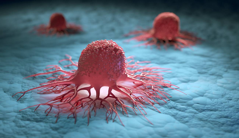 4 COSAS IMPORTANTES A CONSIDERAR DURANTE UN TRATAMIENTO PARA COMBATIR EL CÁNCER 