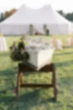 Raw oyster bar in boat-shaped table