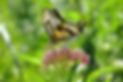 hr-1120-830-986--1120830986004_edited.jp