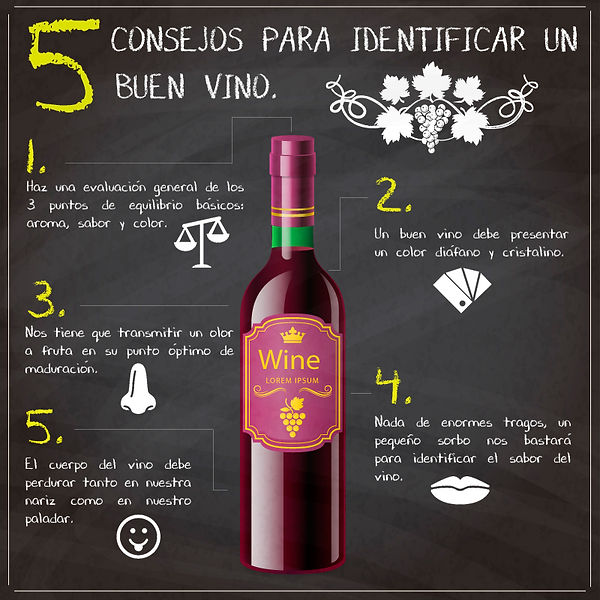 infografia-consejo-vinos.jpg