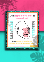 IMG_4286.PNG