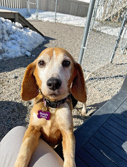 Nellie_edited.jpg