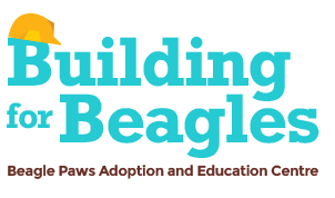 Beagle Paws Memory and Recognition Wall