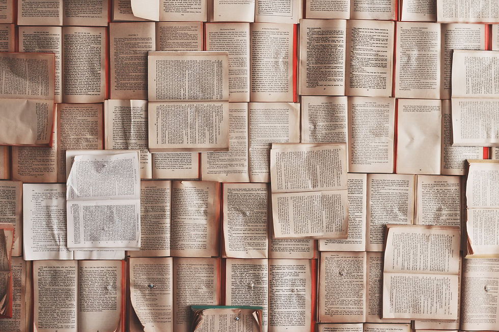 A photograph of many open books