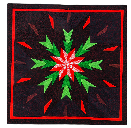 Star quilt class