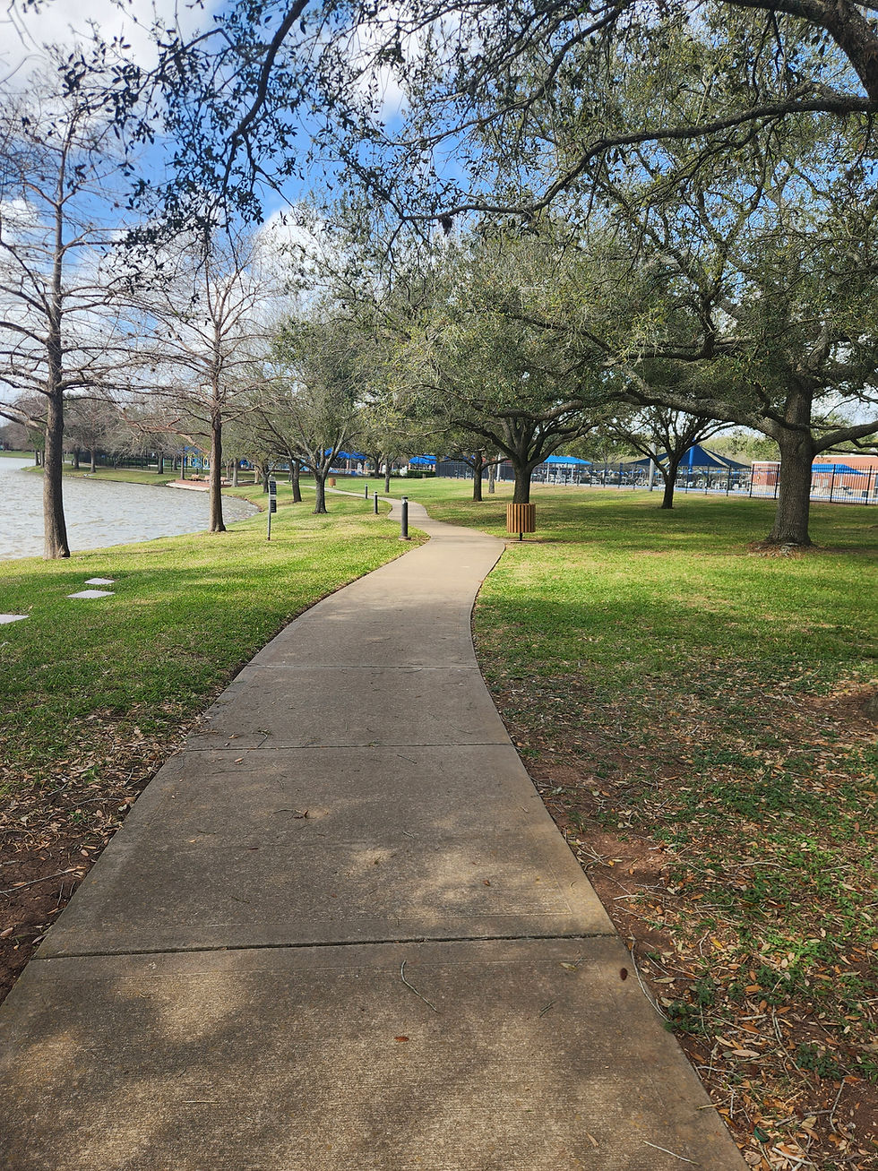 The view on my daily walk along the trail around our neighborhood lake never gets old.