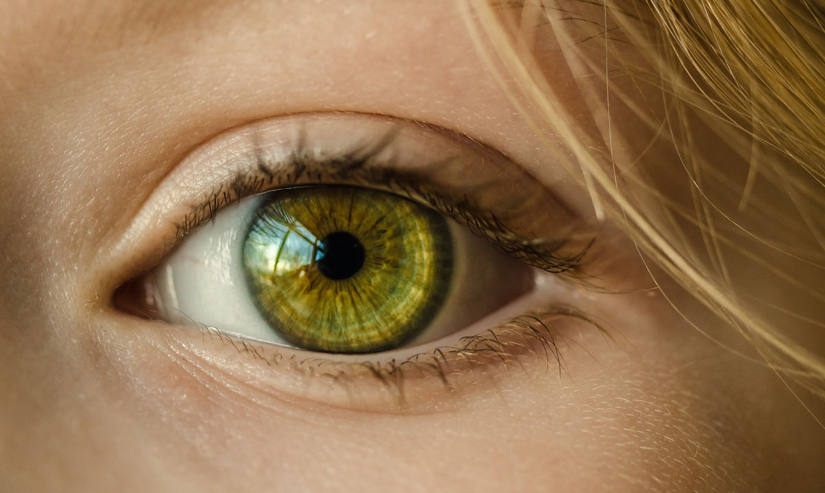 Idaho Retina Center PLLC
