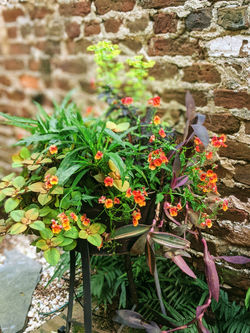 PXL_20210406_112847442.PORTRAIT