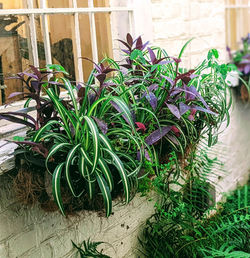 PXL_20220719_113223391.PORTRAIT (2)