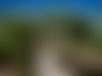 Discover a Slice of France in California Wine Country!