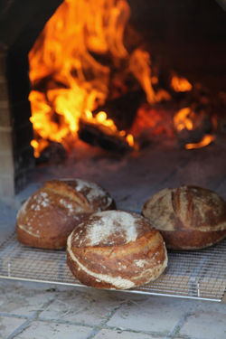 WhatsApp Image 2025-08-06 at 07.11.58