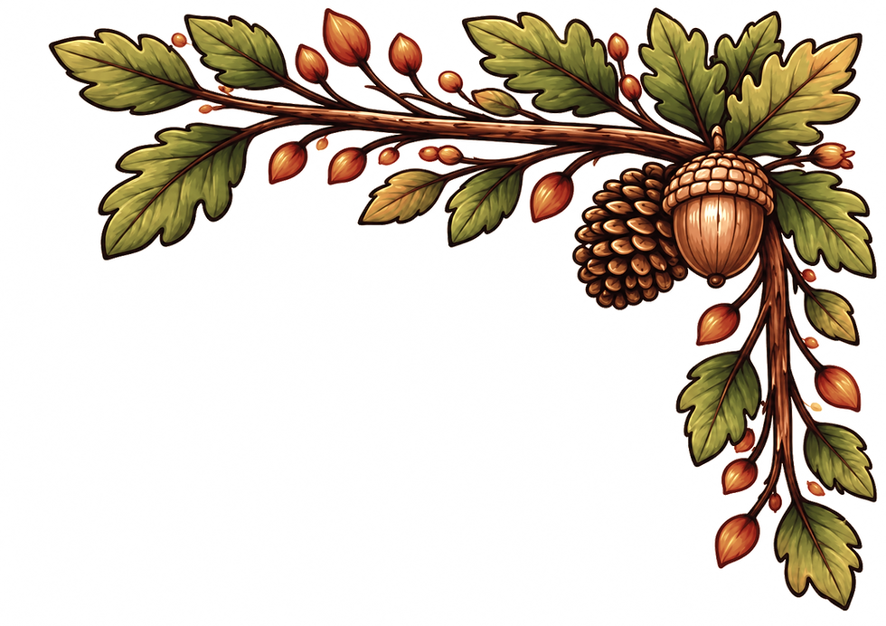 new graphic element 5.png