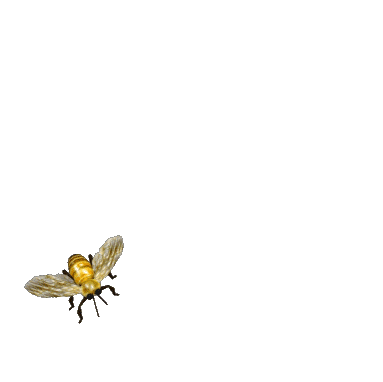 Animated bee gif.gif