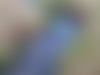 Our Outdoors: Vigilance