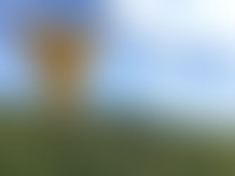 PLOTS Tops 800,000 acres for 2020