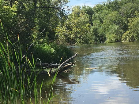 Five Tips for Shore Fishing Rivers