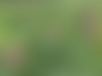 Senator Cramer Supports Bipartisan Bill To Galvanize Wildlife Conservation, Help Prevent Extinctions