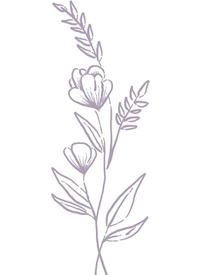 persistent petals logo line art