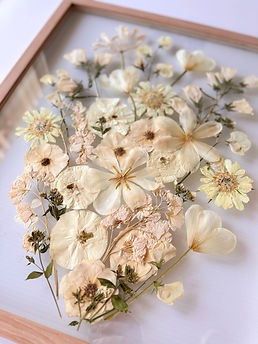 Flower preservation Oregon wedding bouquet, Pressed flowers from Central Oregon wedding preserved for keepsake, Beautiful preserved wedding flowers in Oregon, PNW flower preservation for weddings in Central Oregon, Preserved bridal bouquet from Oregon wedding, Preserving wedding flowers in Bend, Oregon, Custom flower preservation for Central Oregon couples, Everlasting wedding bouquet preservation in Oregon, Pressed wedding flowers in PNW, Oregon wedding florals preserved as art, flower preservation near me, bouquet preservation near me, bouquet preservation oregon, bouquet preservation bend oregon, Wedding flower preservation Oregon, Flower pressing Central Oregon, Bridal bouquet preservation Bend Oregon, PNW flower preservation services, Flower keepsakes for weddings in Oregon, Custom flower framing Central Oregon, Preserved flowers for weddings in Oregon, Unique wedding gifts Oregon, Memorialize wedding flowers PNW, flower preservation portland Oregon, flower preservation in seattle