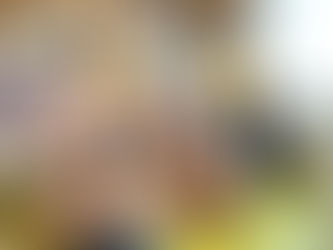 A la découverte du métier de policier