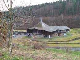 COSMOS, l'Odyssée du saumon