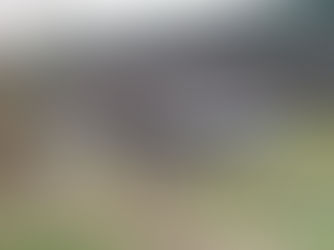 COSMOS, l'Odyssée du saumon