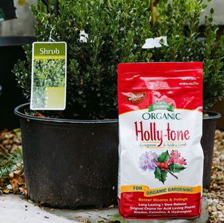 Screen Shot 2022-11-29 at 5.39_edited.jpg