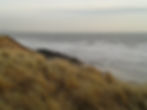 20160121_093643