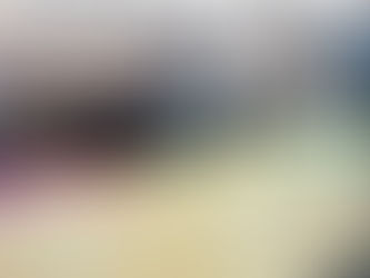 SSG Fox Program Event