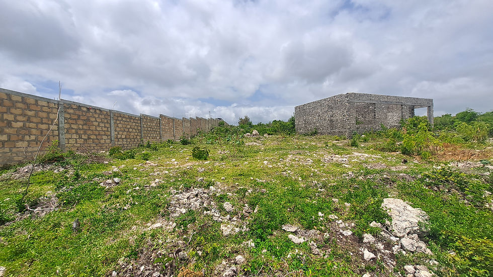 zanzibar beach land for sale makanduchi