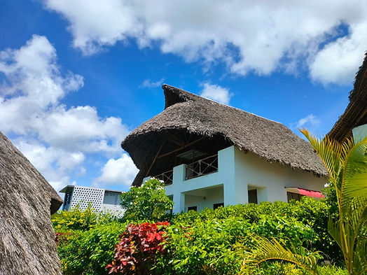 Aerial photo of botanica suites michamvi zanzibar.jpg