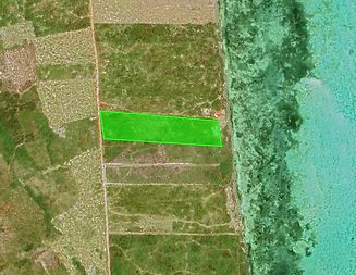 zanzibar makanduchi land for sale aerial photo beach land.png