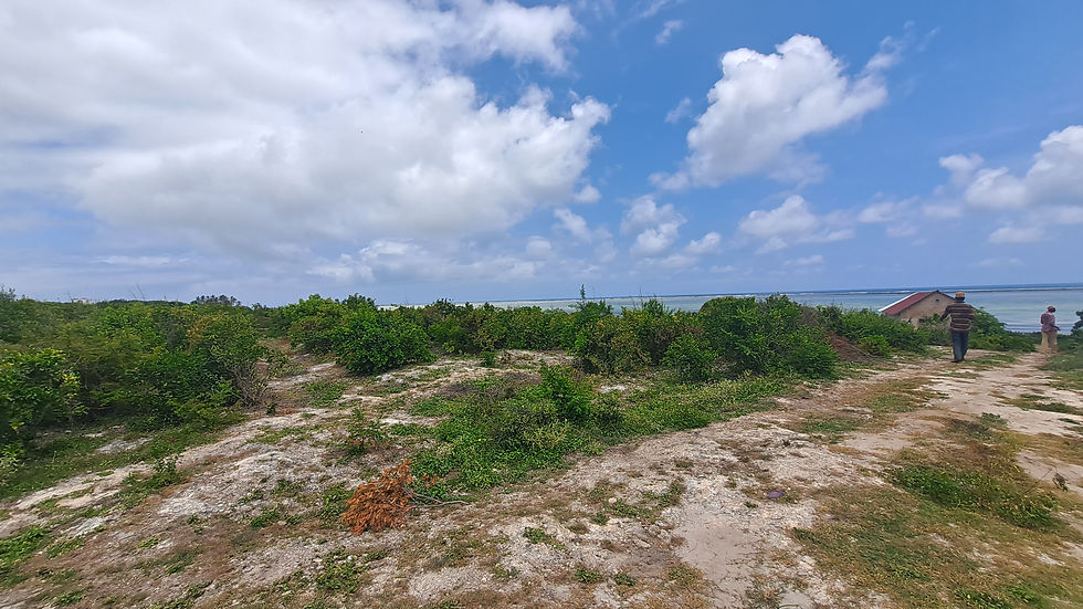 zanzibar beach land for sale makanduchi
