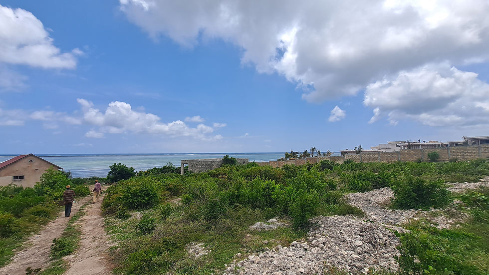 zanzibar beach land for sale makanduchi