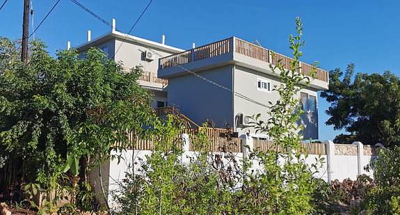 Aerial photo of botanica suites michamvi zanzibar.jpg