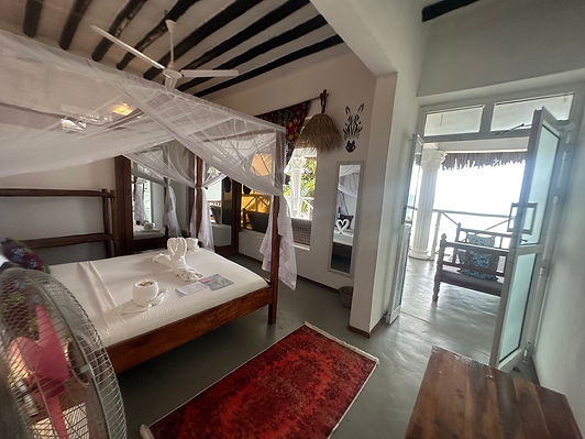Aerial photo of botanica suites michamvi zanzibar.jpg