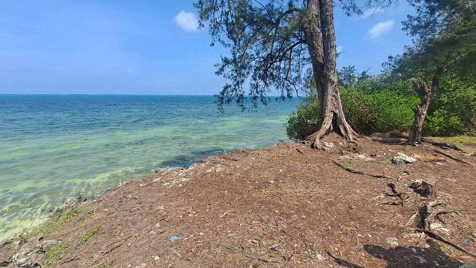 Kiwengwa zanzibar land for sale 22,100sqm beach front view 2