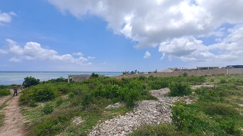 zanzibar beach land for sale makanduchi