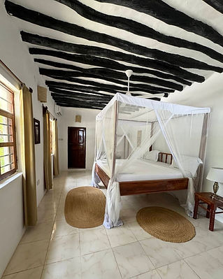 Aerial photo of botanica suites michamvi zanzibar.jpg