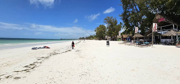 Aerial photo of botanica suites michamvi zanzibar.jpg
